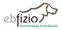 Ebfizio